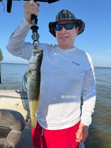 Spotted weakfish caught while fishing in Florida