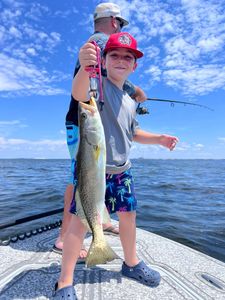Spotted Weakfish caught while fishing in Riverview