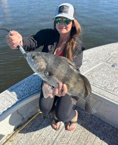 Black Drum, 18-inch fish caught while fishing in FL