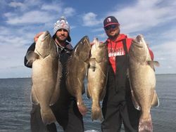 4 big fish caught while fishing in FL
