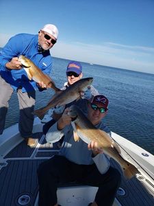 3 exceptional fishing catches in Florida