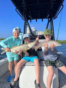 Two Snook and Redfish fishing in Riverview