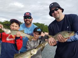 Three snook fish caught in FL