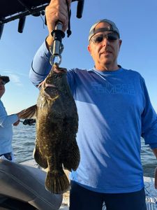 Tripletail fish caught in Riverview