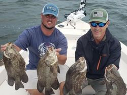 Four tripletail fish caught in Riverview