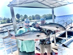 Two Greater Amberjack fish caught at Riverview