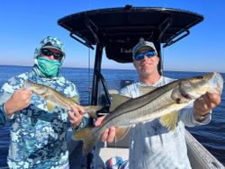 Two Snook fish caught in Riverview