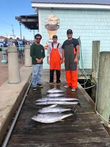 Blackfin tuna caught during cruises and fishing excursion in Morehead City