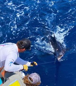 Fishing cruises and excursions in North Carolina