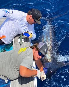 Scenic view of Morehead City, North Carolina