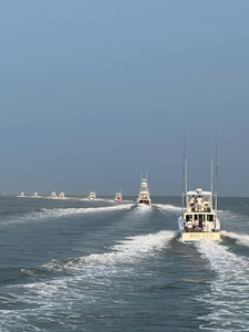 Fishing cruises and trips in Morehead City