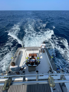 Vibrant cruises and fishing in Morehead City