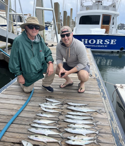 4 blackfin tuna fish caught at Wrightsville Beach