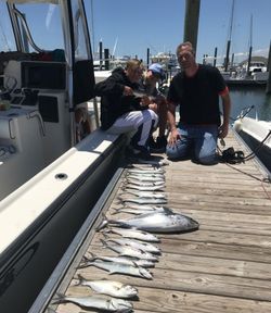 5 bluefish caught during fishing cruises in NC