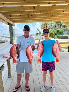 Snapper fishing at its best.