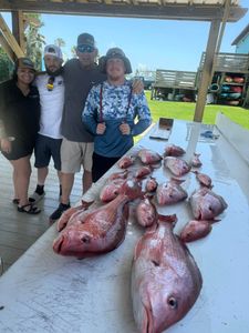 A perfect day on the water limiting out Snapper
