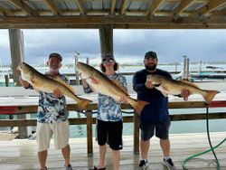 Redfish ready to put up a fight in Orange Beach