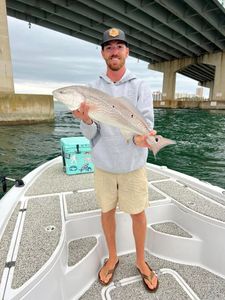 Inshore action, nonstop bites.