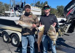 3 sheepshead fish caught in Orange Beach, Alabama