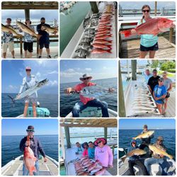 6 fish caught in AL during fishing