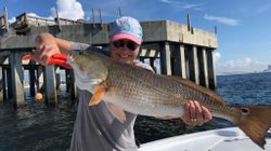 Redfish caught in AL