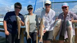 Four anglers with 5 large fish caught in AL
