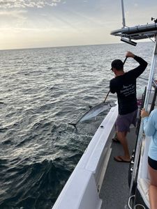 King Mackerel, 30 inch fish caught while fishing in AL