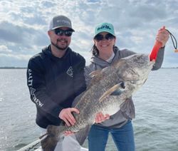 Angler holding a large black drum fish in Alabama