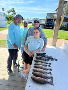 Four anglers holding up four black drum fish in Alabama