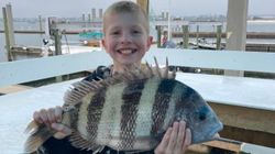 Orange Beach Sheepshead 