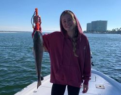 Orange Beach, AL fishing