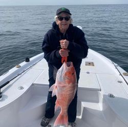 Northern red snapper IN Orange Beach