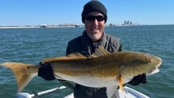 Red Drum fishing in Orange Beach