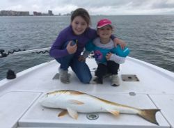 Redfish in Orange Beach