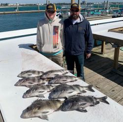 Inshore fishing Orange Beach, Alabama