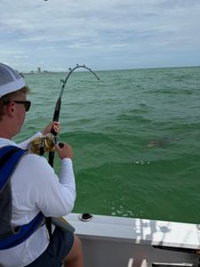 Deep sea fishing rod bent while fighting fish in green ocean waters off Orange Beach Alabama