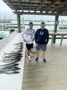 Successful fishing trip displaying fresh caught King Mackerel on dock in Orange Beach AL