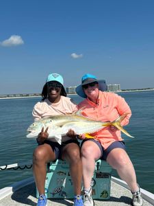 Crevalle Jack, 33 inches, fishing in AL