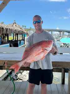 Red snapper catch displayed on fishing dock in Orange Beach Alabama
