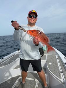 Red snapper caught while fishing in Orange Beach AL on boat deck