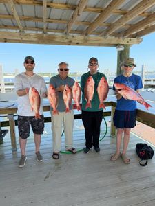 Red snapper fishing catch displayed on dock in Orange Beach AL