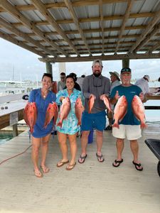 Successful red snapper fishing trip in Orange Beach AL with multiple fish displayed on dock
