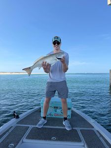 Redfish caught while fishing in Orange Beach Alabama