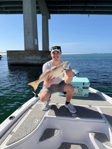 Angler holding caught redfish on fishing boat near bridge in Orange Beach Alabama