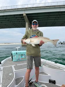 Redfish caught while fishing in Orange Beach AL displayed on boat deck under bridge