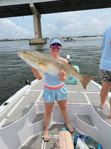 Redfish caught while fishing in Orange Beach AL on boat