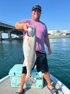 Redfish caught while fishing in Alabama