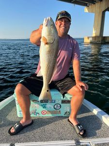 Redfish caught while fishing in AL