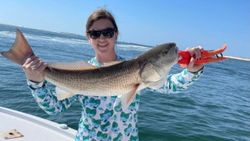 Redfish caught in Orange Beach