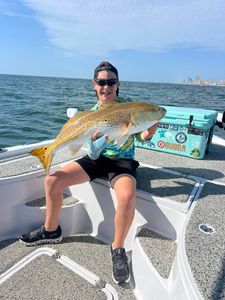 Redfish caught in Orange Beach